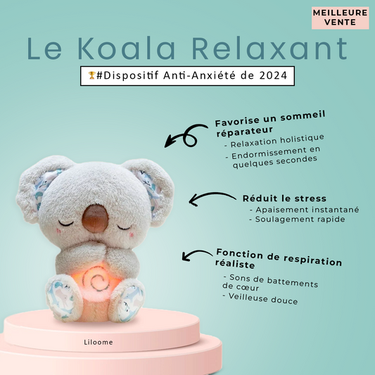 Doudou Koala V2