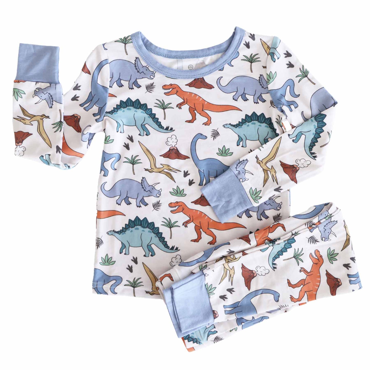 Ensemble pyjama deux pièces Dino Garçon